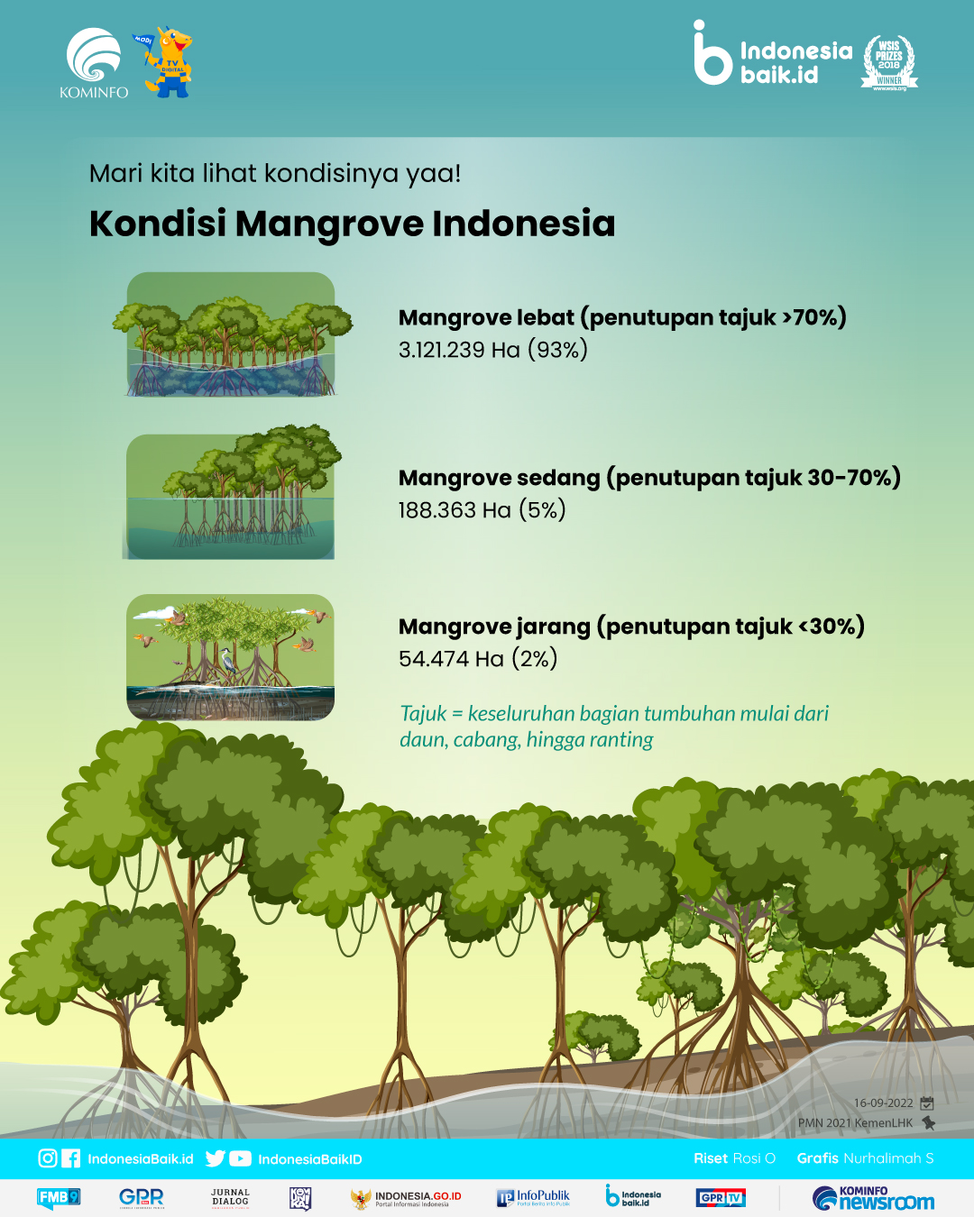 Foto Mangrove Indonesia