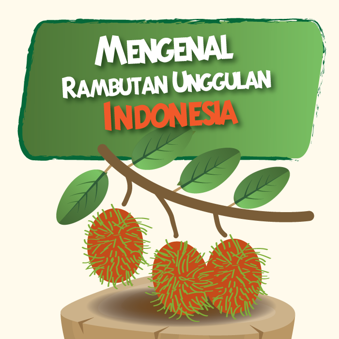 Mengenal Rambutan Unggulan Indonesia