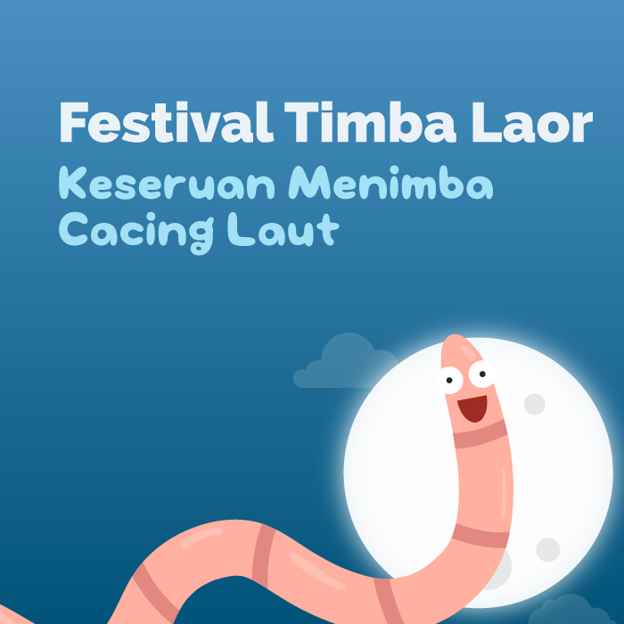 Keseruan Memburu Cacing Laut di Festival Timba Laor