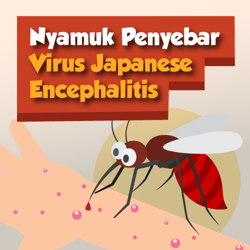 Nyamuk Penyebar Virus Japanese Encephalitis