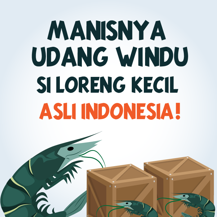 Udang Windu Si Loreng Kecil Asli Indonesia 