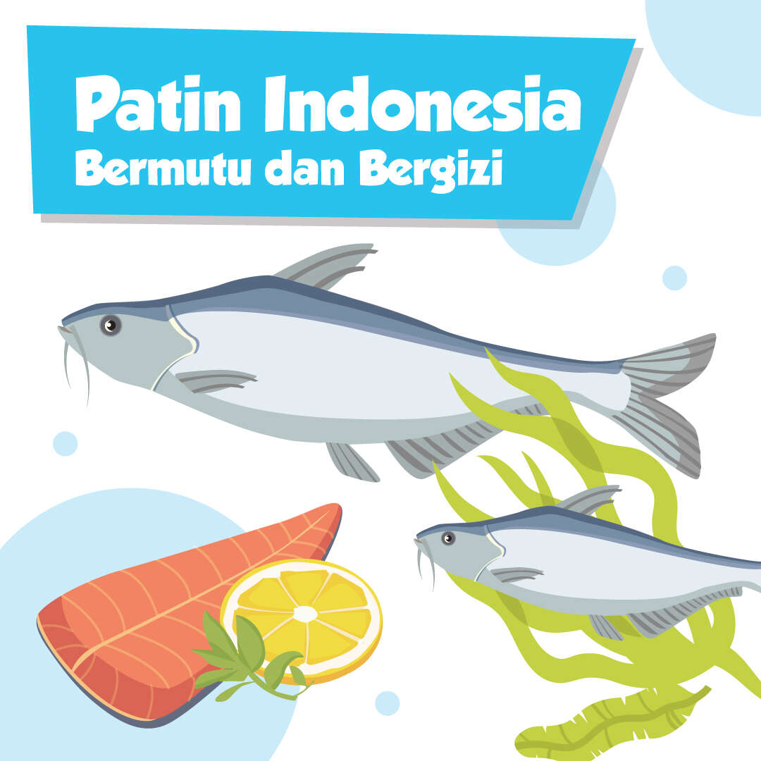 Patin Indonesia Bermutu dan Bergizi