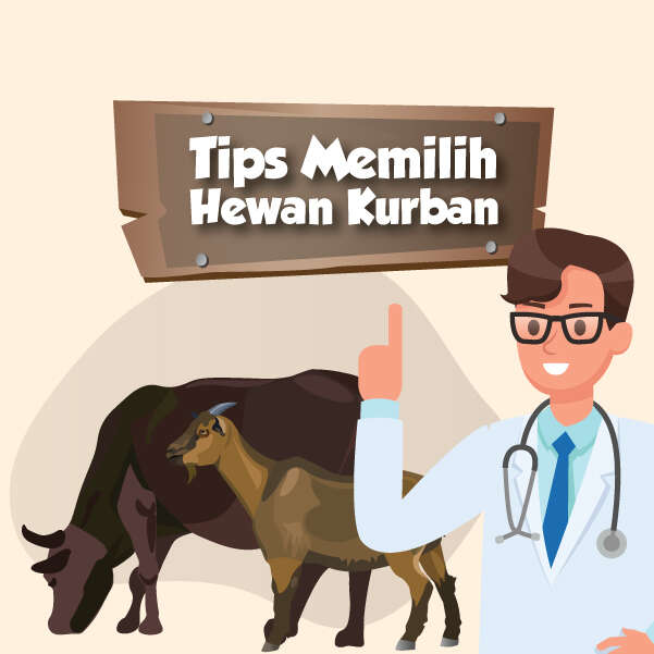 Tips Memilih Hewan Kurban