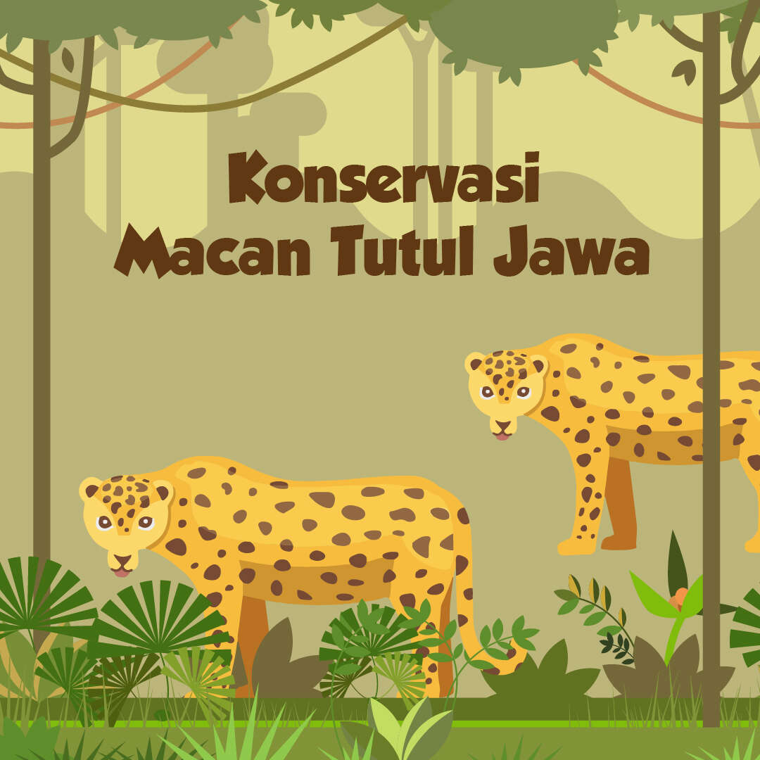 Konservasi Macan Tutul Jawa