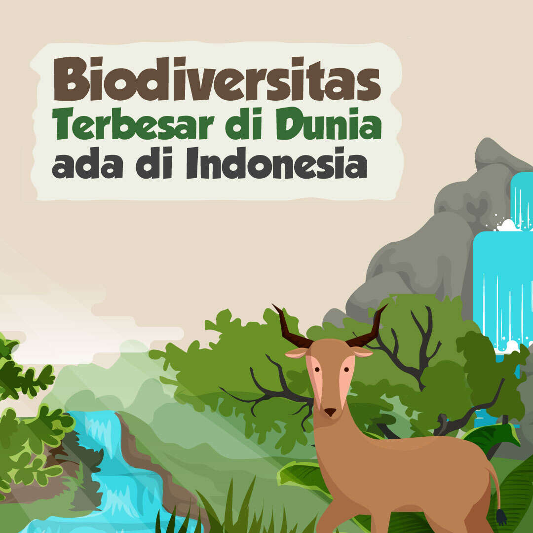 Biodiversitas Terbersar di Dunia ada di Indonesia
