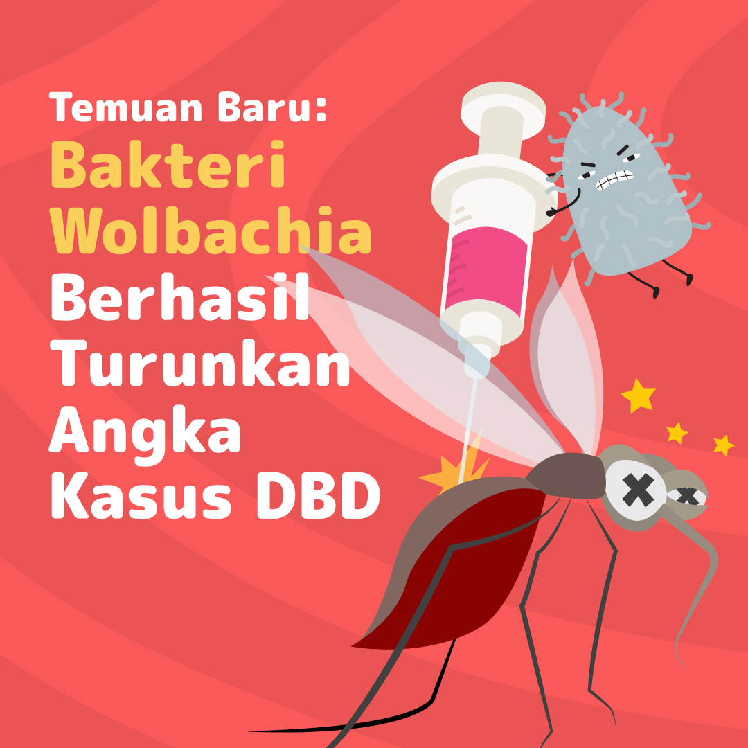 Temuan Baru: Bakteri Wolbachia Turunkan Angka Kasus DBD