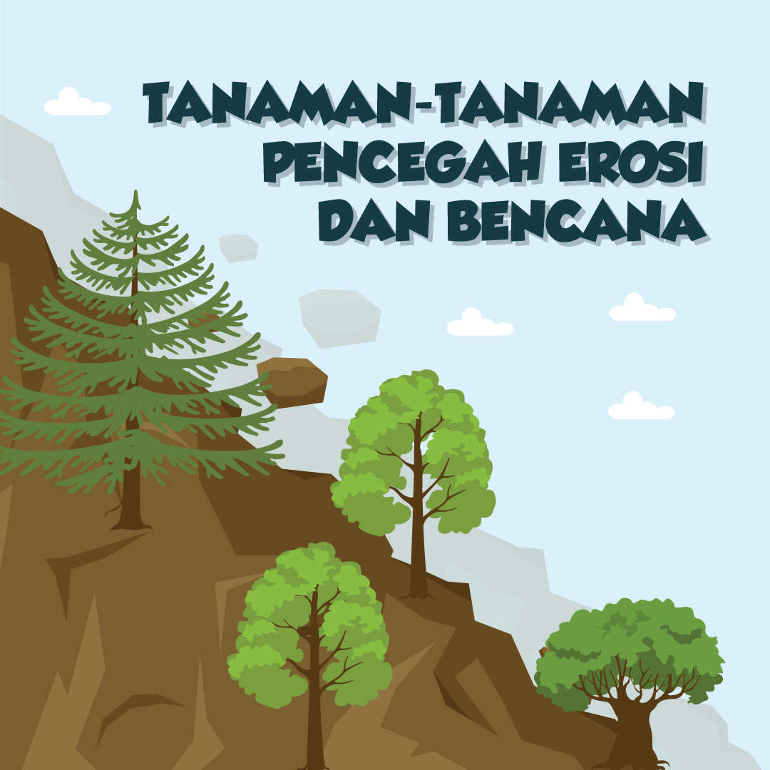 Tanaman-tanaman Pencegah Erosi dan Bencana