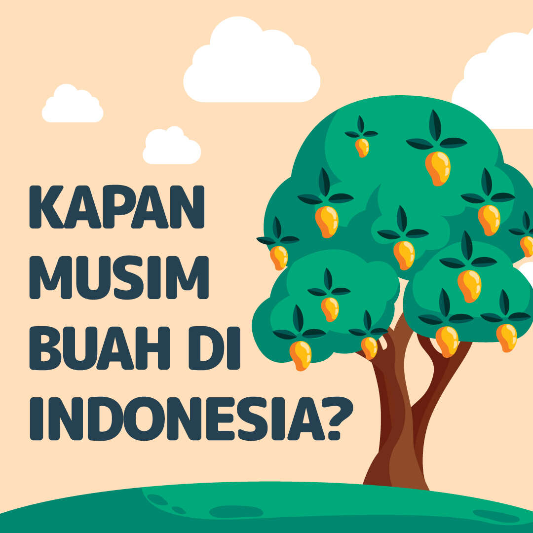 Kapan Musim Buah di Indonesia?