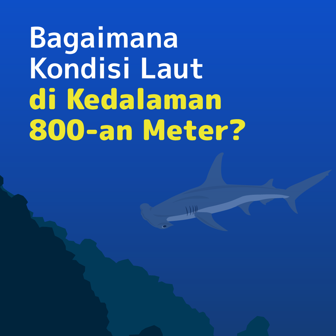 Bagaimana Kondisi Laut di Kedalaman 800-an Meter?