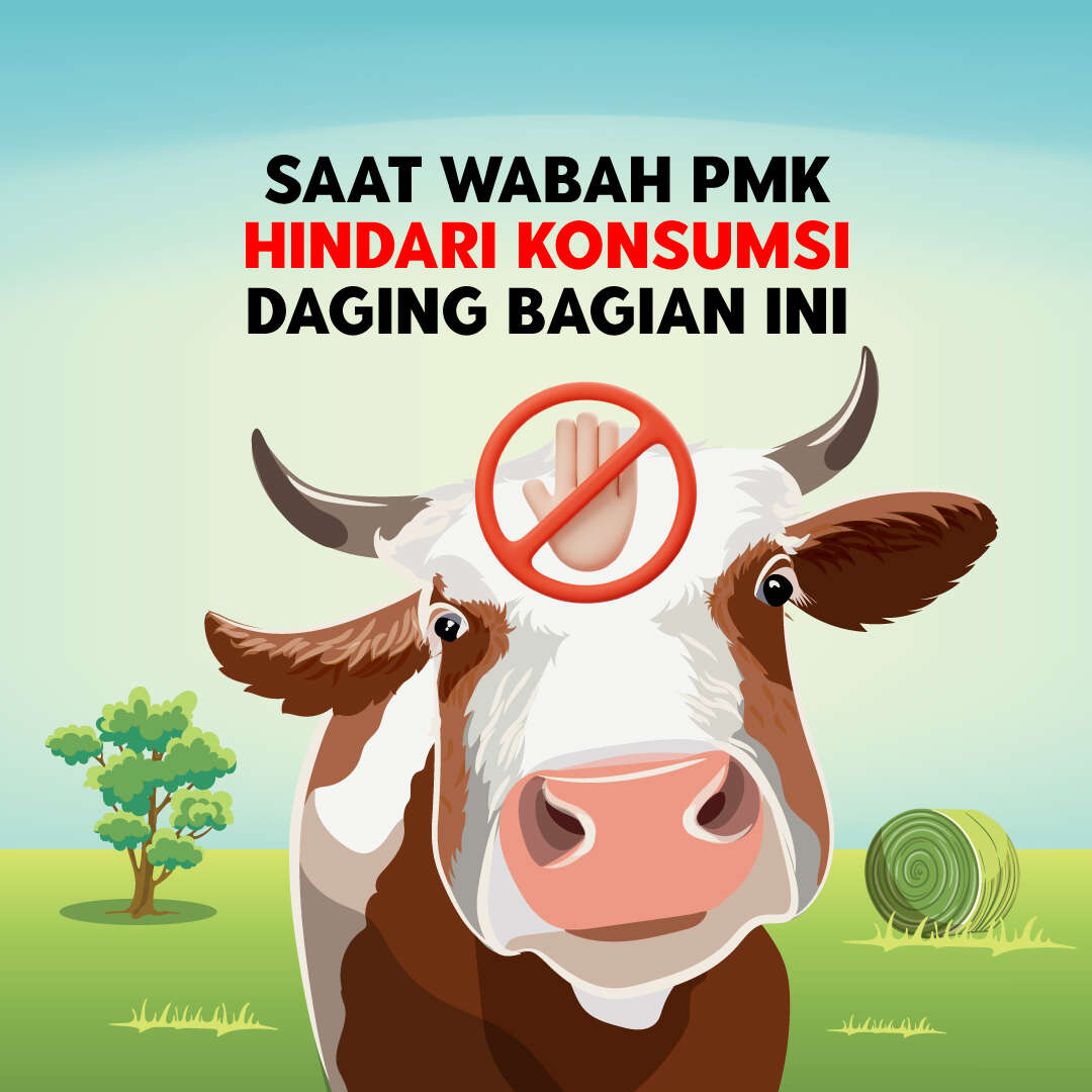 Saat Wabah PMK, Jangan Konsumsi Daging Bagian Ini Ya!