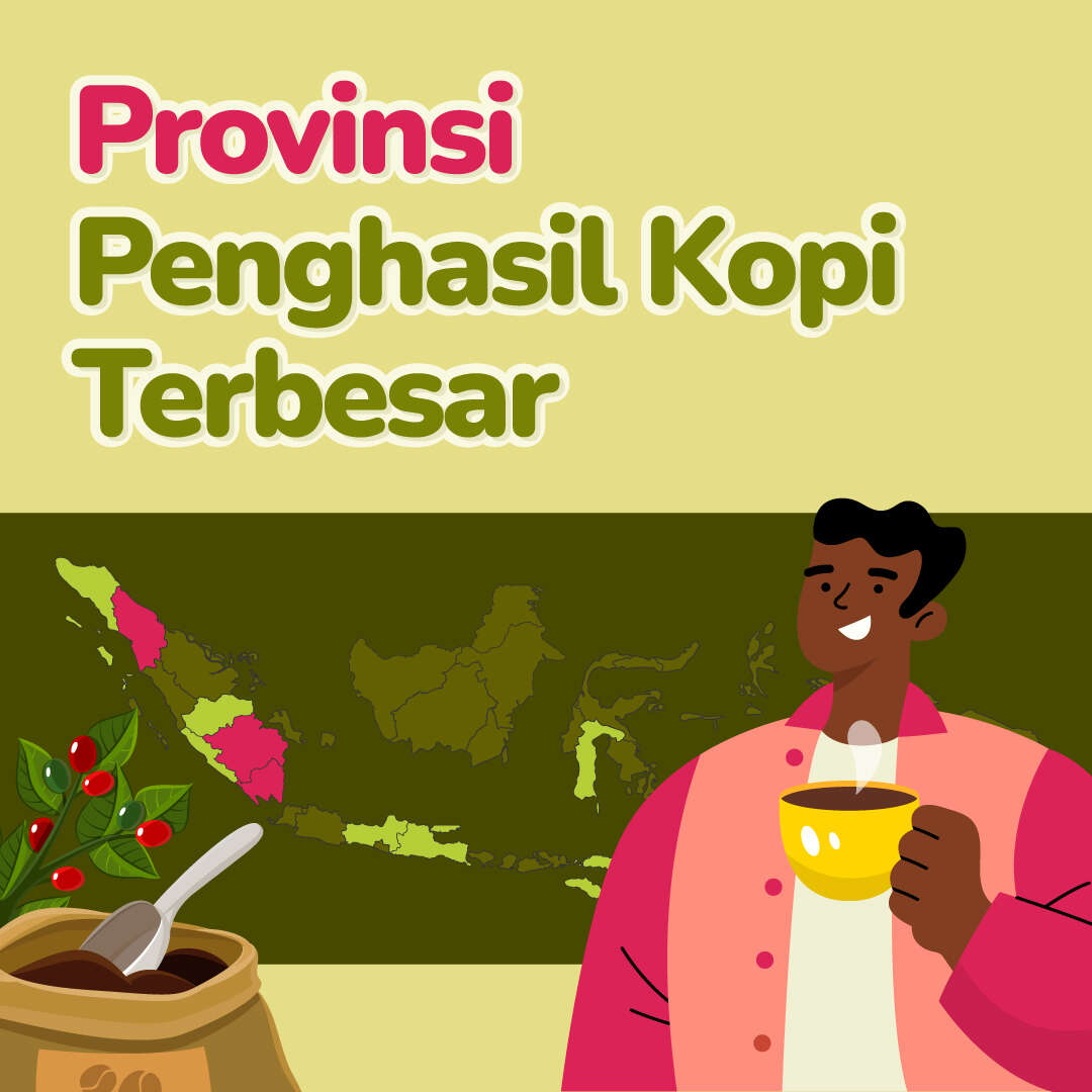 Provinsi Penghasil Kopi Terbesar