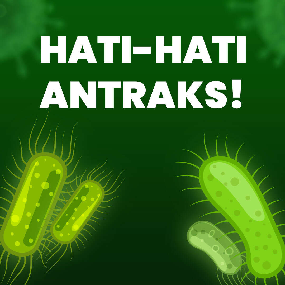 Hati-Hati ANTRAKS