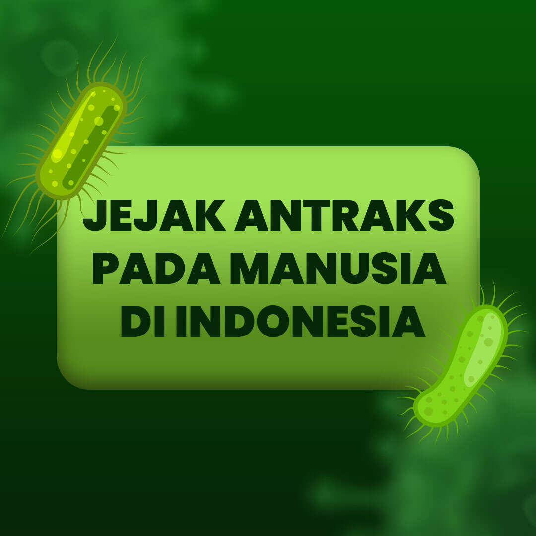 Jejak Antraks Pada Manusia Di Indonesia