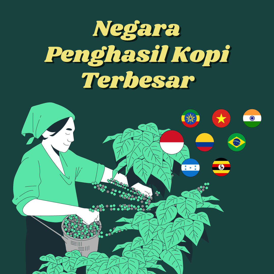 Negara Penghasil Kopi Terbesar