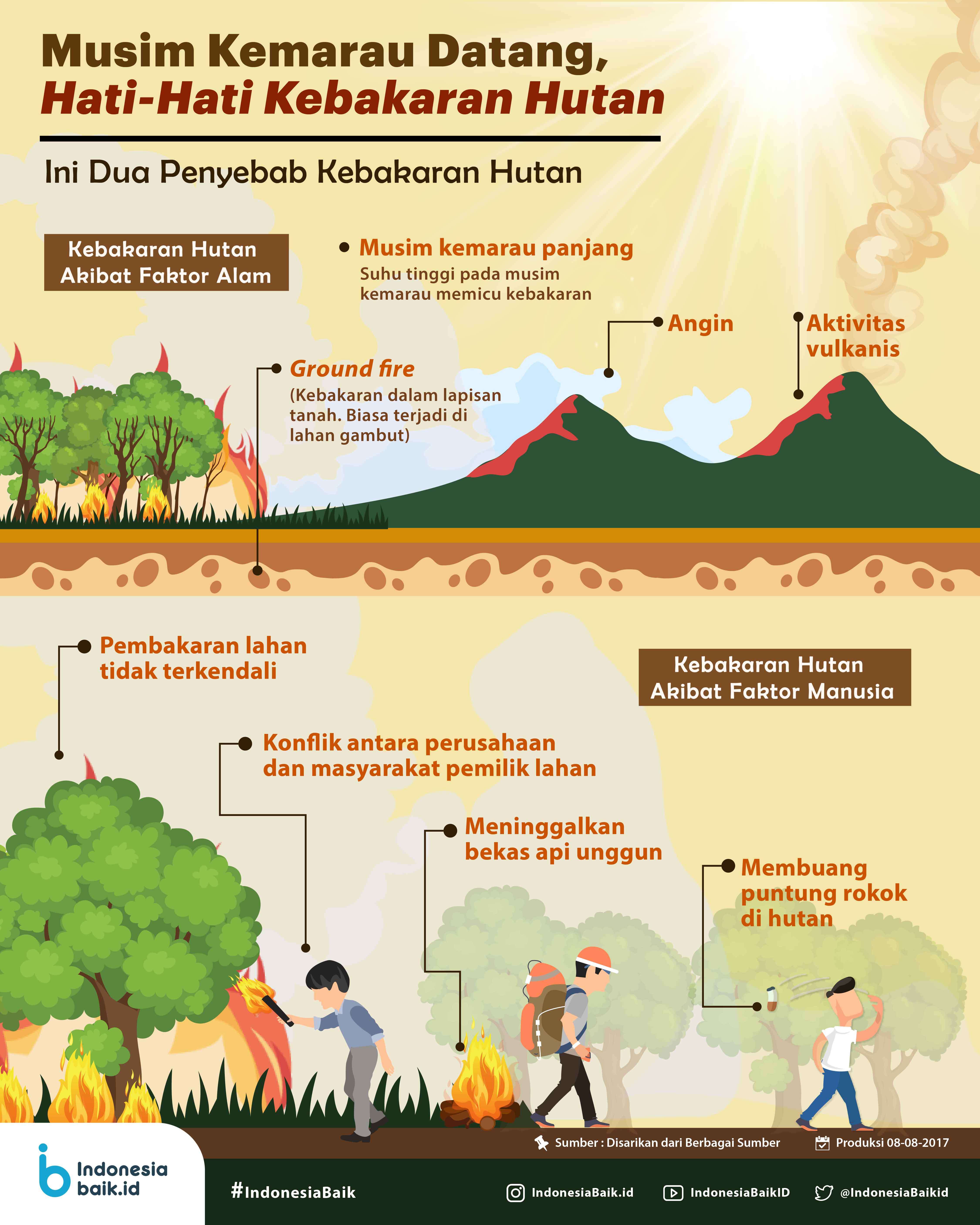 Musim Kemarau Datang, Hati-Hati Kebakaran Hutan