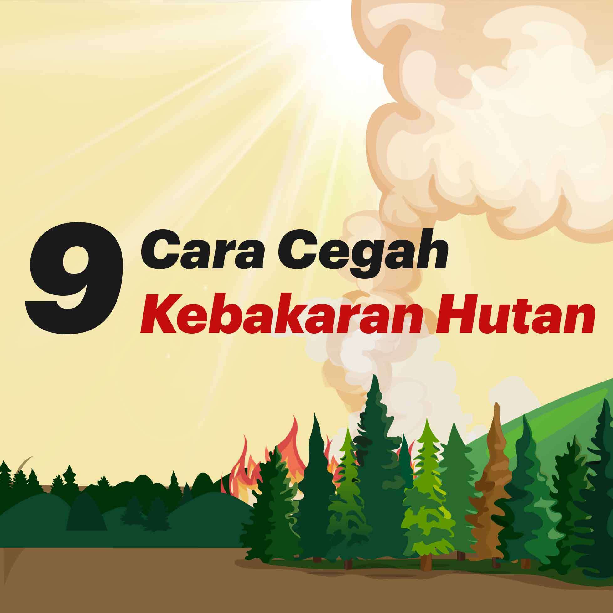 9 Cara Cegah Kebakaran Hutan