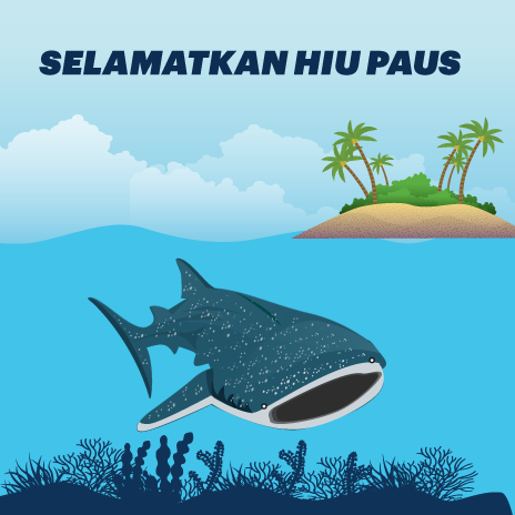 Selamatkan Hiu Paus di Indonesia